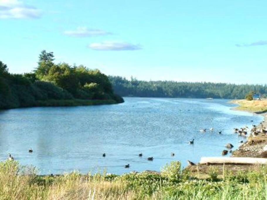 Esquimalt Lagoon Life Apartment Victoria Luaran gambar